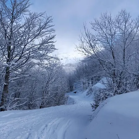 Eco - Val Di Luce * Abetone