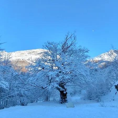 Eco - Val Di Luce Abetone