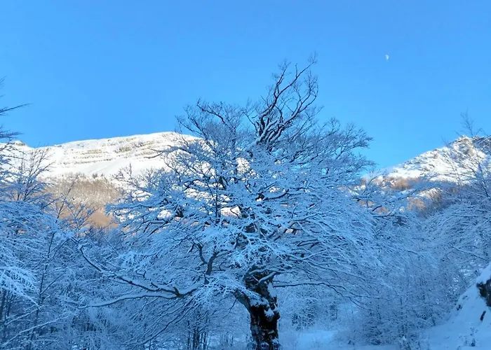 Eco - Val Di Luce Abetone